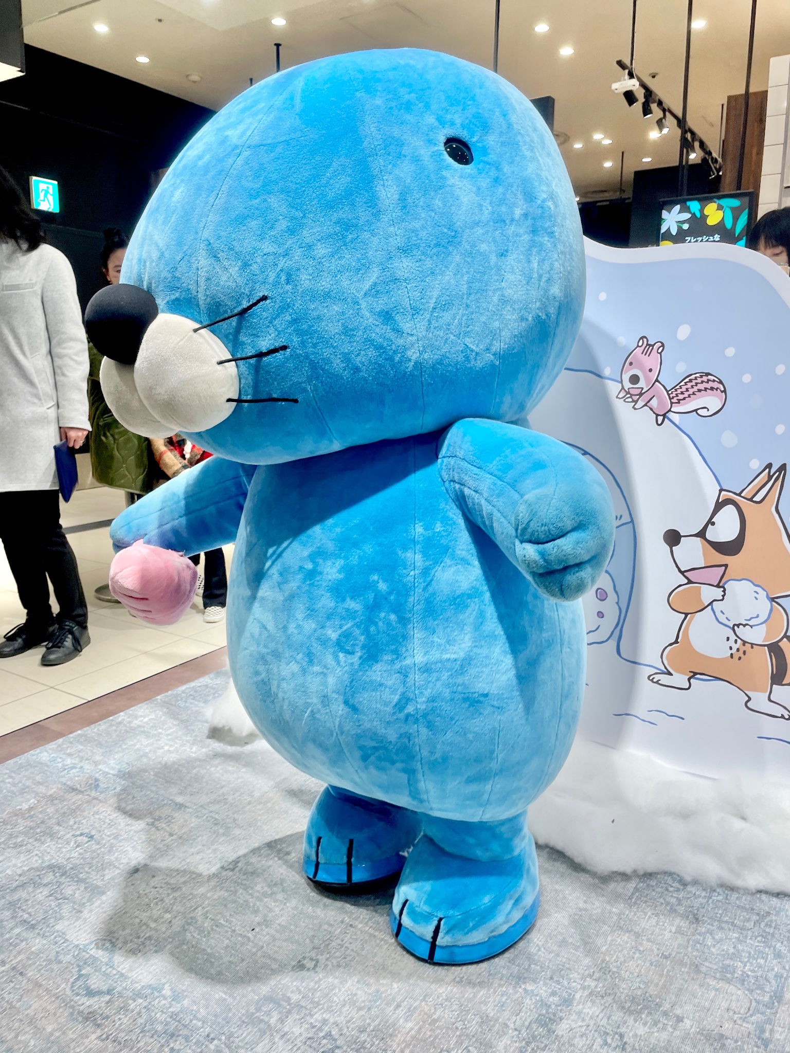 レア! キャットマガジンNYAO にゃお 7~10月号 どんぐりくん ぼのぼの