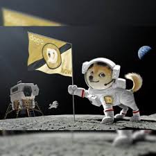 Follow 4 More Crypto Memes! 🤘 tweet media