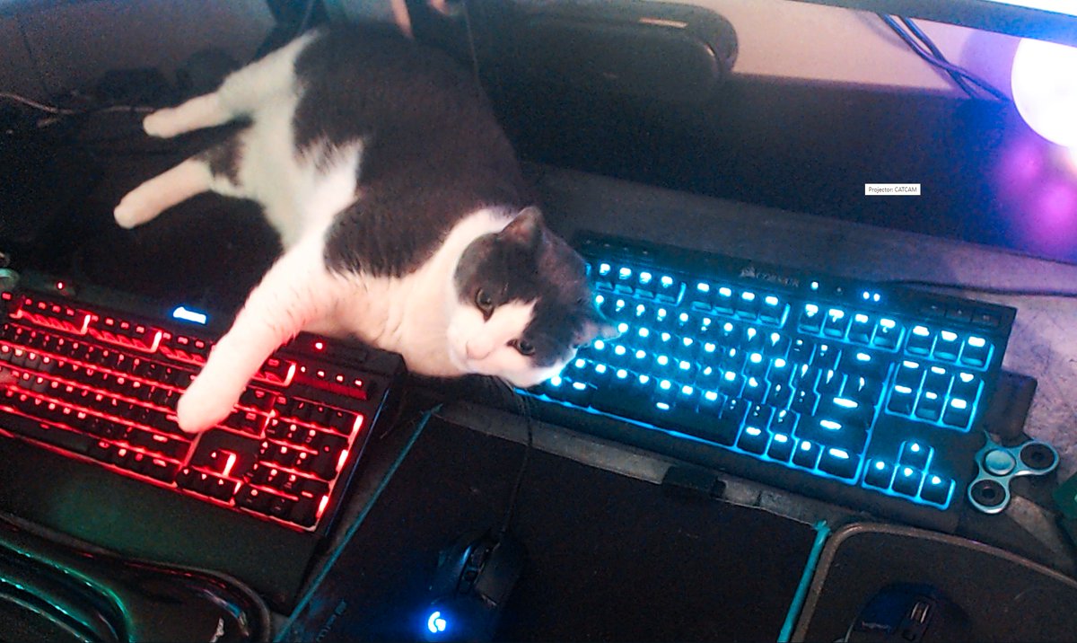 DeFiFUDDestroy's tweet photo. Fortnite, Stream Crashed - Trash Panda's now back.
#TeamBubblesFamGG
👉https://t.co/P8pZe9Ge8I
#twitch #youtube #ThetaTV #facebook #instagram #odysee #DLive #trovo #NimoTv #ThetaTV #Kick #OmletArcade #YouNow #NoNoLive #Discord #caffieneTV #VaughnLive #GlimeshTV #BigoLive https://t.co/fPHP6QGBvR