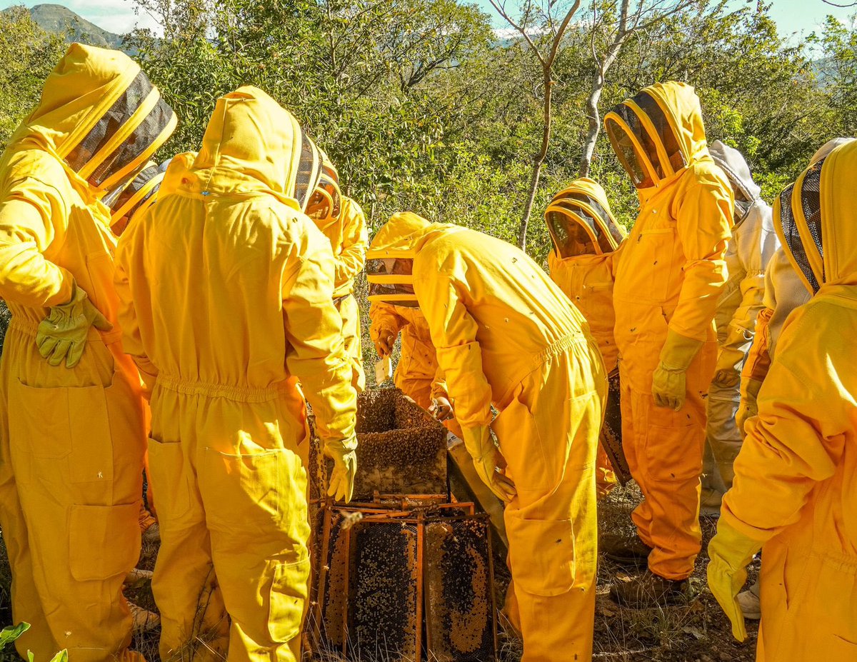 ADR_Colombia's tweet photo. La última parada nos llevó al apiario del proyecto Conservación de la Biodiversidad y Apicultura Sostenible, en el corregimiento de La Victoria de San Isidro en La Jagüa de Ibirico,cuya apuesta es la restauración del bosque seco tropical, liderado por víctimas del conflicto. https://t.co/SVydQnOMii