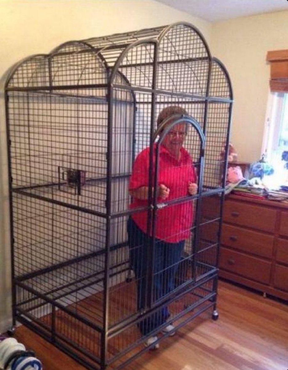 RT @LakeShowYo: grandma stays in the cage until you fire those refs and publicly apologize to LeBron @NBA https://t.co/2YRPQE2NZT