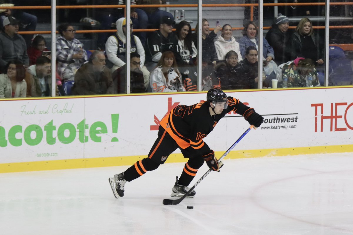 Rhino Hockey tweet media