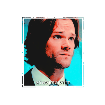 MOOSCHESTER's tweet photo. ─────៹ 𝗡𝗘𝗪 𝗟𝗔𝗬𝗢𝗨𝗧｡

              ▮ ɴᴇᴡ ʜᴇᴀᴅᴇʀ
                       ▮ ɴᴇᴡ ɪᴄᴏɴ

                  𖤐 ⨟ 𝒃𝒚 𝑤ℎ𝑖𝑠𝑝𝑒𝑟𝑠 https://t.co/3Byf8GrLcJ
