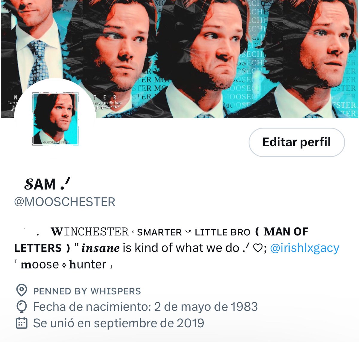 MOOSCHESTER's tweet photo. ─────៹ 𝗡𝗘𝗪 𝗟𝗔𝗬𝗢𝗨𝗧｡

              ▮ ɴᴇᴡ ʜᴇᴀᴅᴇʀ
                       ▮ ɴᴇᴡ ɪᴄᴏɴ

                  𖤐 ⨟ 𝒃𝒚 𝑤ℎ𝑖𝑠𝑝𝑒𝑟𝑠 https://t.co/3Byf8GrLcJ