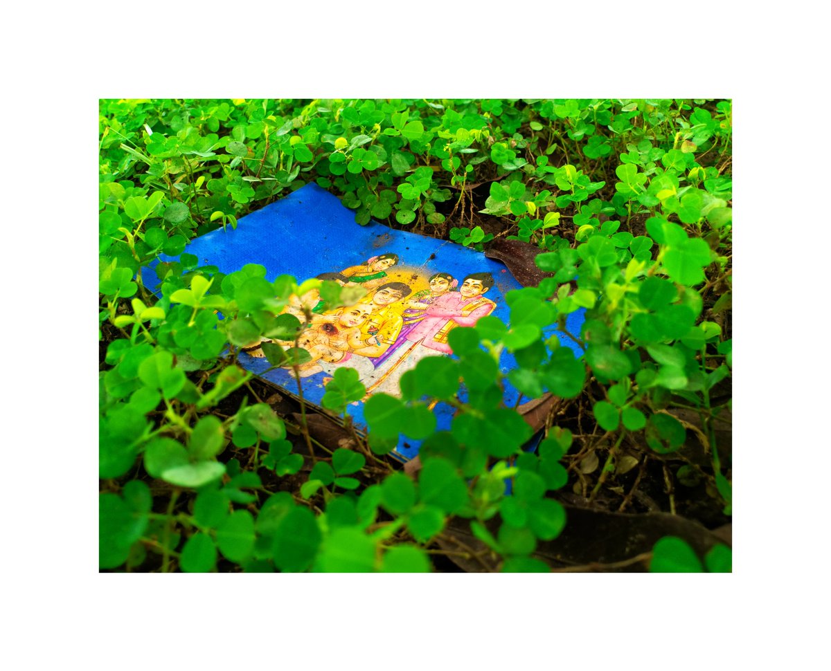 வியாபாரம் இல்லாத மனம் சற்று குறைவே 
#leaves🍁  #leavesphotography #grass #invitationcard #grassphotography #photography #photoshoot #yellow #yellowleaves #yellowleaves🍂 #morningvibes #invitation #invitationdesign #tamilnadu #yellow #mobilephotography #oppof9pro 
#Captionone