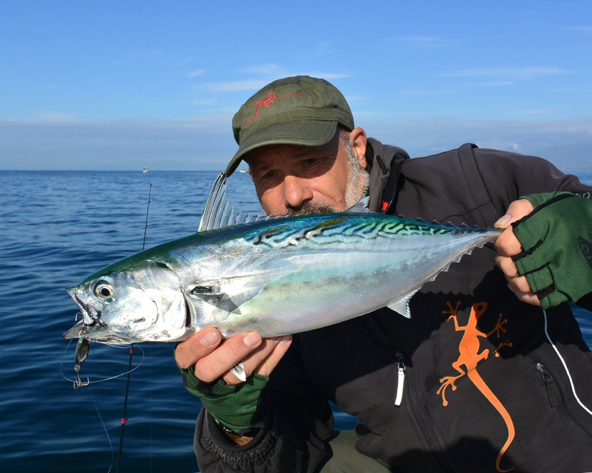 Seaspinlures's tweet photo. Janas 70 per Sergio Bertola, il divertimento è assicurato!!!
https://t.co/djZHqLGLOo
#janas70 #labrax #alletterati #seaspin #utopiatackle #lures #saltwaterfishing #spinning #fishinglures #fishingtackle #fishing #bigfish #seafishing https://t.co/fXBw5R00cC