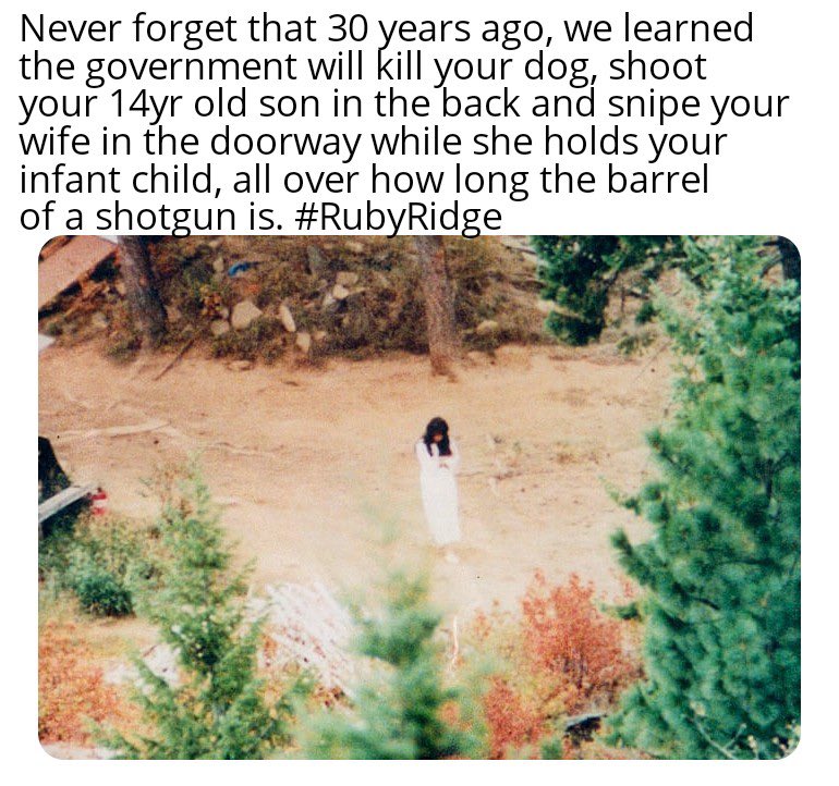 Hodgetwins (@hodgetwins) on Twitter photo 