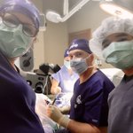 Photo by Randall Goodman, MD (@RGoodmanMD)