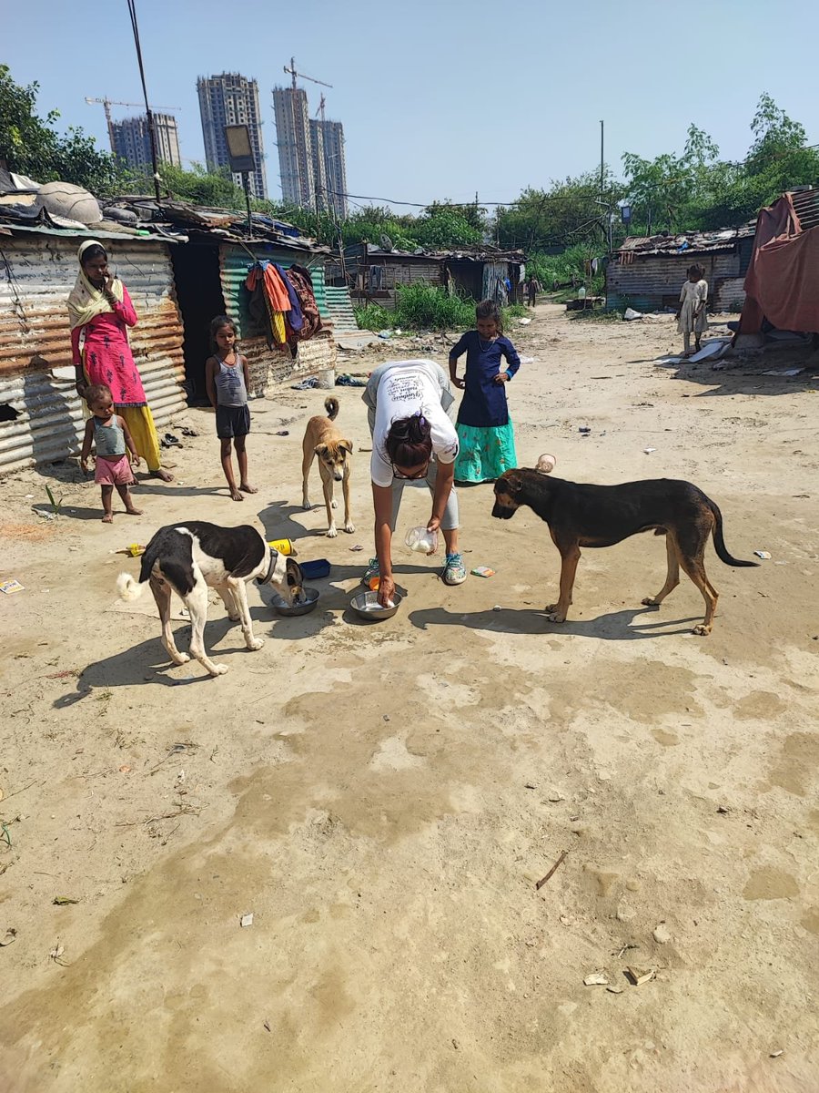tarana singh (@tarana2510) on Twitter photo #JaypeeAman Streethearts (Feeders)Vaccinating Society’s #Communitydogs
0% cruelty to animals.100% safety to all-100% Sterilization&Vaccination (ThankYou <a href="/CgsHospital/">CGS Hospital</a>)
Kindness zindabad! <a href="/noida_authority/">NOIDA Authority</a> <a href="/CeoNoida/">CEO, NOIDA Authority</a> <a href="/InduPrakashPCS/">Indu Prakash Singh</a> <a href="/AwbiBallabhgarh/">Animal Welfare Board of India</a> @newsnationtv <a href="/ANI/">ANI</a> <a href="/ManchChetna/">Chetna Manch</a> #JaypeeAman Streethearts (Feeders)Vaccinating Society’s #Communitydogs
0% cruelty to animals.100% safety to all-100% Sterilization&Vaccination (ThankYou <a href="/CgsHospital/">CGS Hospital</a>)
Kindness zindabad! <a href="/noida_authority/">NOIDA Authority</a> <a href="/CeoNoida/">CEO, NOIDA Authority</a> <a href="/InduPrakashPCS/">Indu Prakash Singh</a> <a href="/AwbiBallabhgarh/">Animal Welfare Board of India</a> @newsnationtv <a href="/ANI/">ANI</a> <a href="/ManchChetna/">Chetna Manch</a>