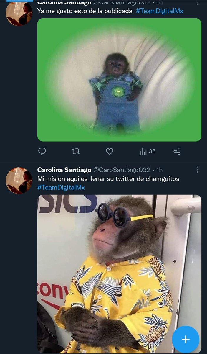 m33543162's tweet photo. ¿No les pasa qué entran a twitter y encuentran esto en su inicio? JSJSJSJSS @CaroSantiago032 Estamos amando a tus changuitos 😂✨
#TeamDigitalmx https://t.co/PBcyrnNiWt