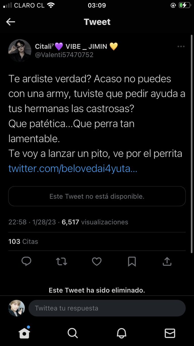 puuwrly's tweet photo. ai dio mio su lenguaje señorita 🙀🙀 https://t.co/R3PHqAx4J6