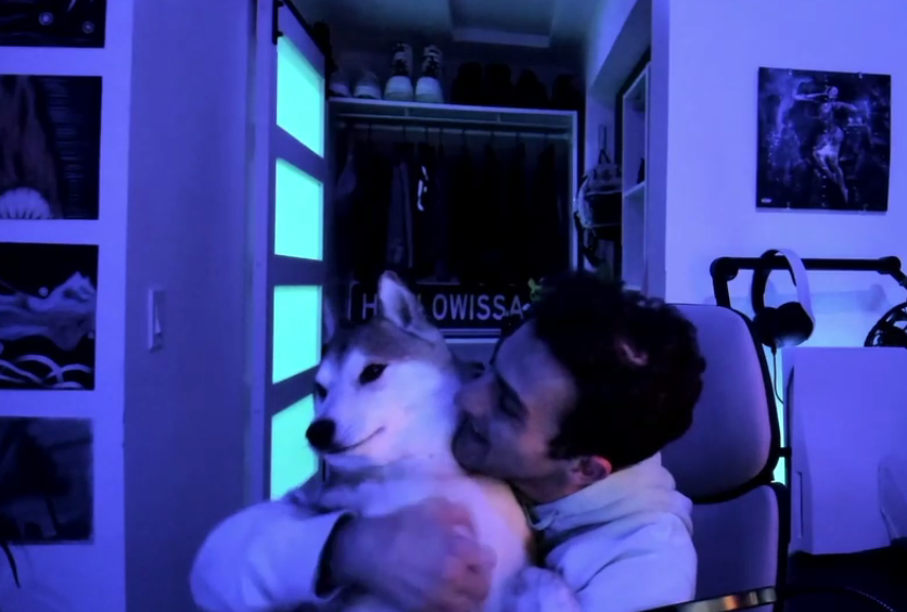 veilspell's tweet photo. @twaimz https://t.co/1YOCLMb3CN