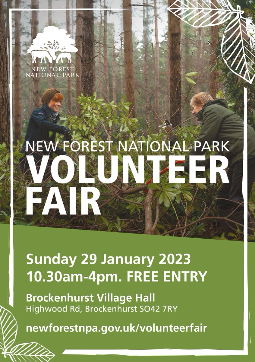 New Forest NPA tweet media