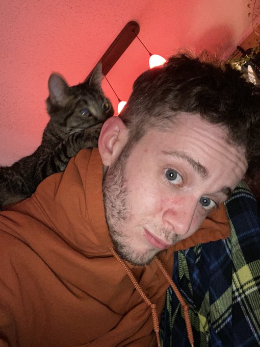 Halp.  May not survive the night with this much cuteness. https://t.co/GPNJSYEmKc