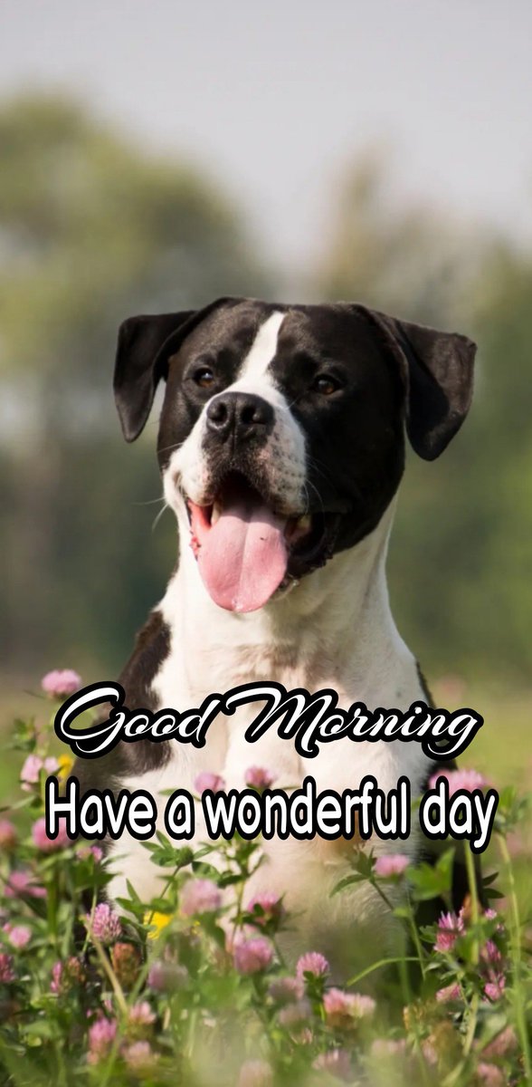 atmanifarid's tweet image. I wish you all a nice good Morning and a wonderful day ❤️🌹