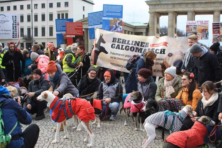 plataforma_NAC's tweet image. [MANIFESTACIONES INTERNACIONALES]

🇩🇪 BERLIN FUE SU VOZ.
SALIÓ A LAS CALLES CON UNA ALTISIMA ASISTENCIA POR NUESTROS PERROS DE CAZA.
Danke schön🙏

▪️BERLIN-ALEMANIA
Berlín BrandeburgerTor
🗓️ Sábado 28 de enero de 2023.
🕐 13:00 h
🤜 Evento: bit.ly/3UVYhv8
#NoAlaCaza5F
