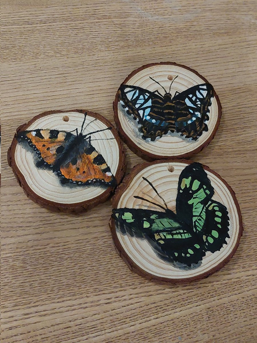 KizzyBean7's tweet photo. Painting some wooden pieces. 🖌️🎨🦋 #Butterflies #irishartist #naturepainting https://t.co/Riw73FbLWK