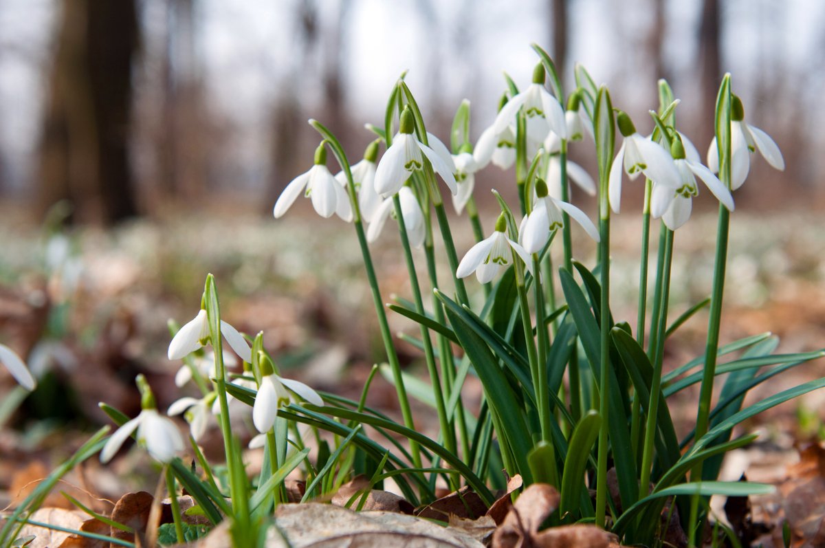 See ya January! Here comes the #Devon with Kids February newsletter with lots of ideas for things to do next month and over half term. Read it here: mailchi.mp/2fd0136b83d6/f…