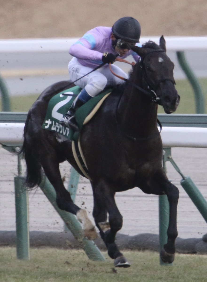 hanehiro_deep's tweet photo. 2023/1/29  中京11R
第28回 シルクロードステークス(GIII)
ナムラクレア
(父:ミッキーアイル)

真ん中をこじ開けて重賞3勝目！
GI制覇へ、視界良好！！ https://t.co/iU8YTcX57s