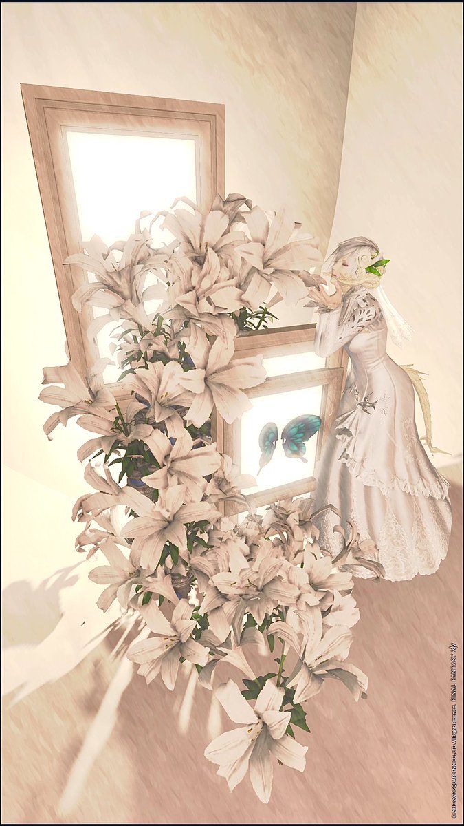 ophelia0225's tweet photo. #FF14 #GPOSERS 
#XIV_PICTCLIP 
 #studiomer https://t.co/zmMJ67ZVIy