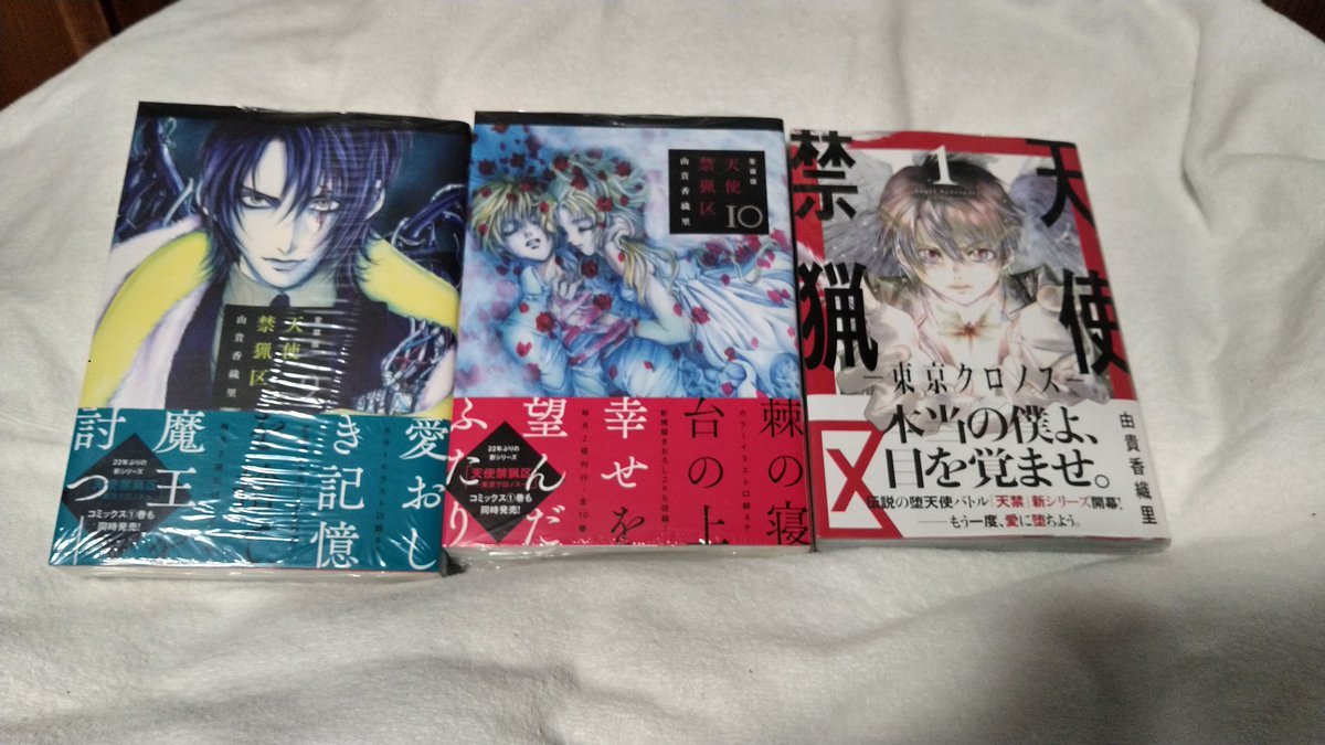 愛蔵版 天使禁猟区 3