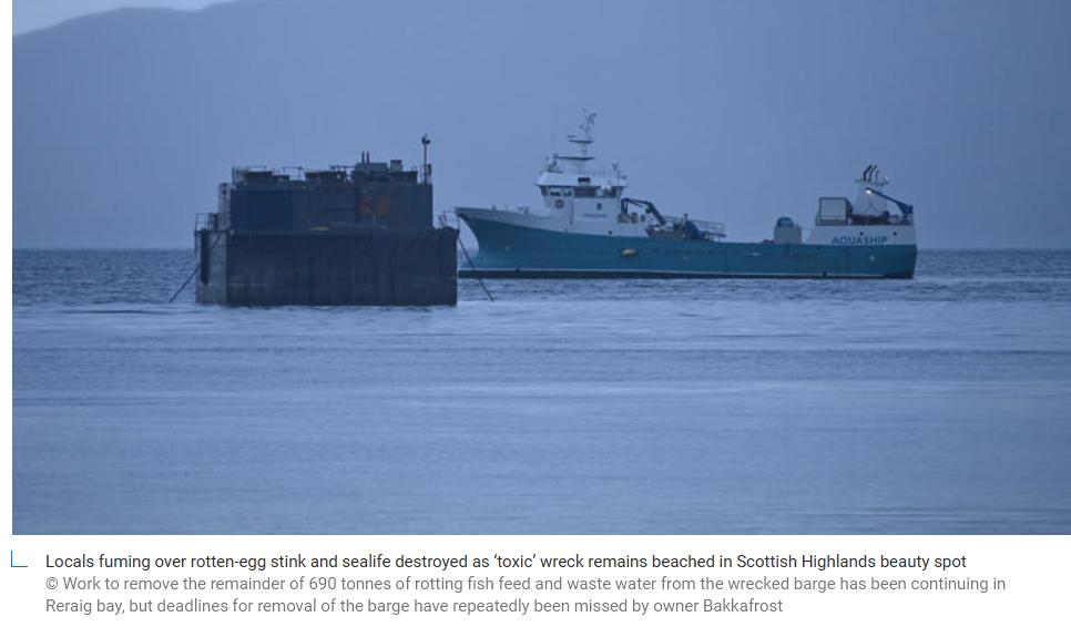 Today's Scotland On Sunday: "Locals fuming over rotten-egg stink and sealife destroyed as ‘toxic’ wreck remains beached in Scottish Highlands beauty spot" msn.com/en-gb/news/ukn… <a href="/Ilonaamos/">Ilona Amos</a> <a href="/TheScotsman/">The Scotsman</a> <a href="/ScotlandSalmon/">Salmon Scotland</a> @Folketrygdfond @marinescotland <a href="/ScottishEPA/">Scottish Environment Protection Agency (SEPA)</a> @Ianblackford_MP