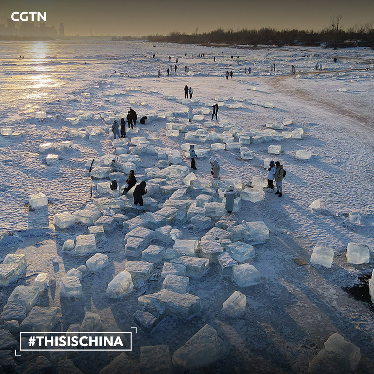 CGTNOfficial's tweet photo. During the Spring Festival, the ice mining rink in Harbin City, NE China's Heilongjiang Province, shone like a "sea of diamonds" with crystal clear ice dusted with snow on Friday. #SpringFestival2023 https://t.co/s1sPVhHIPG