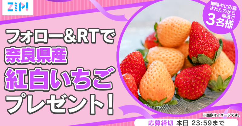 ZIP_TV's tweet photo. ＼　　　\\　　　//　　　／
　  フォロワー7⃣0⃣万人
　  突破キャンペーン🎊
／　　　//　　　\\　　　＼

  奈良県産 紅白いちごが当たる🍓
　フォロー＆RTキャンペーン🎀
■〓■〓■〓最終日❣■〓■〓■〓

応募方法📪
①@ZIP_TVをフォロー
②この投稿をRT
毎日RTで当選率UP✨

💙
👐ZIP!