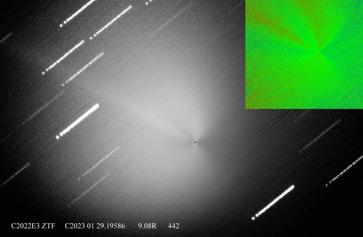 Josep_Trigo's tweet photo. #ZTF #COMET KEEPS ITS MAGNITUDE and inner coma activity as you can see in this image taken today using a #SC14 by Albert Sànchez from #GualbaObservatory, #MPC442, #Catalonia. Please visit my blog you can read more details (going for 100000 readers now!🤩): https://t.co/8pB6XEh5KO https://t.co/Qo83IllYlm