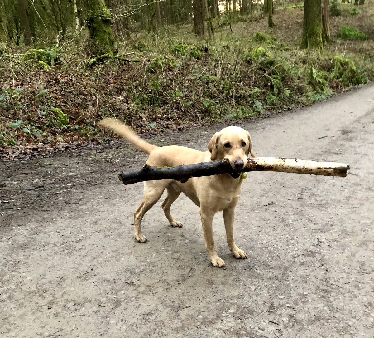 Not his longest but it was heavy and and had a fair old girth! <a href="/Smutters/">Muttley Golf</a>
