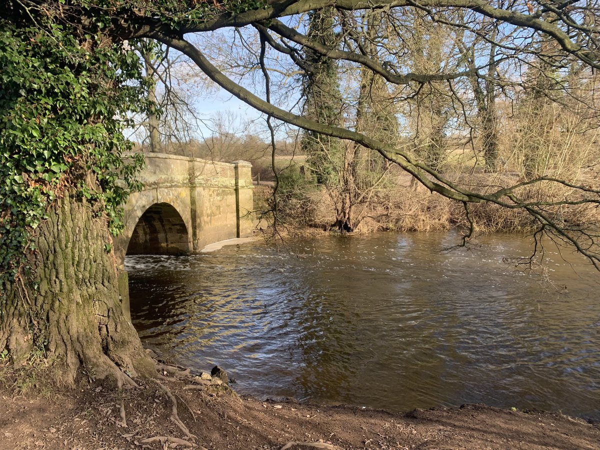 Kath preece tweet media