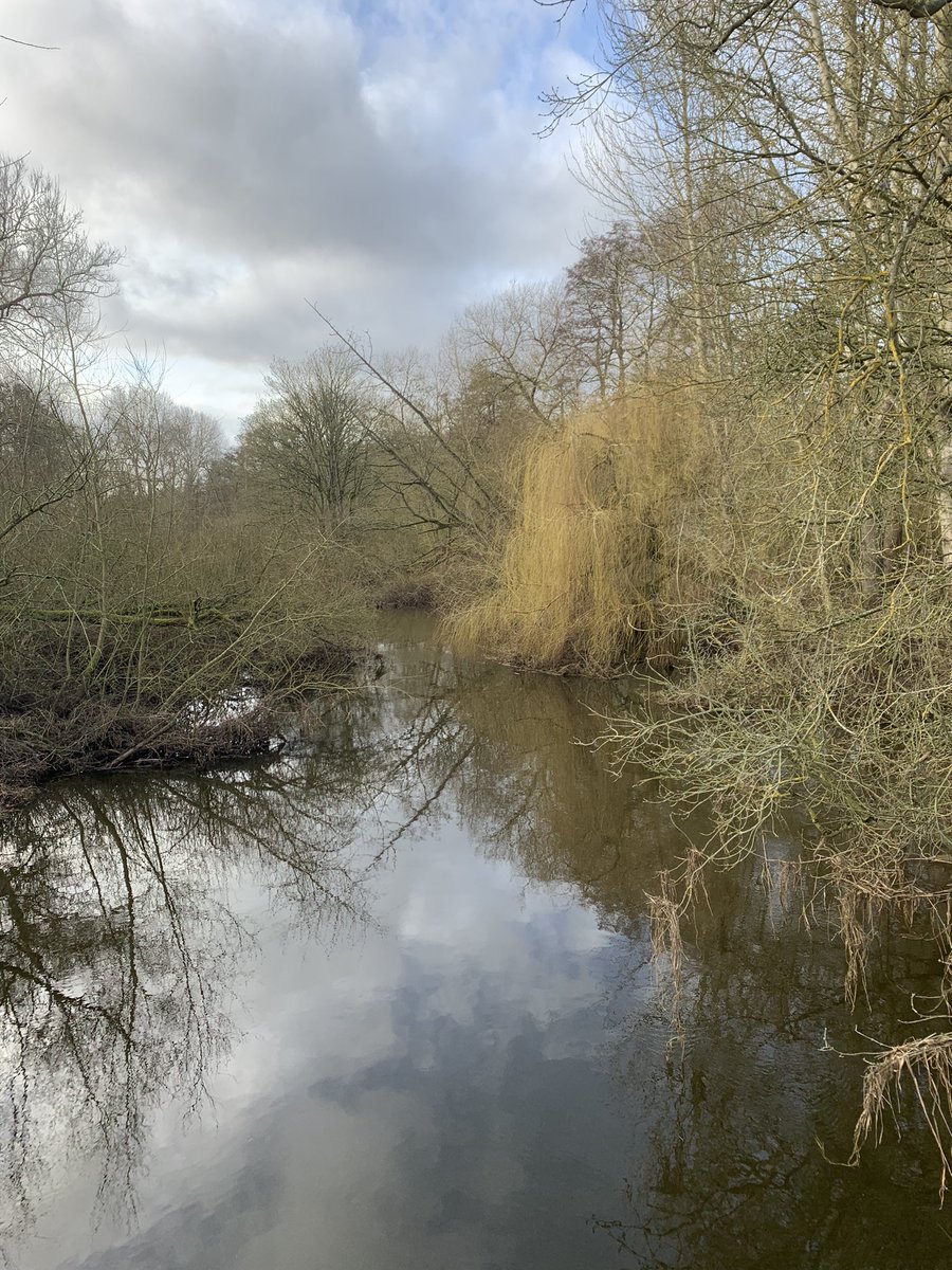 Kath preece tweet media