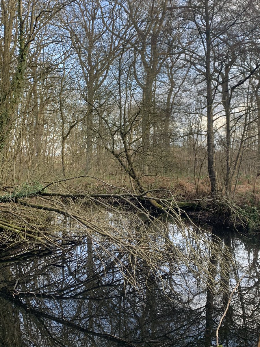 Kath preece tweet media