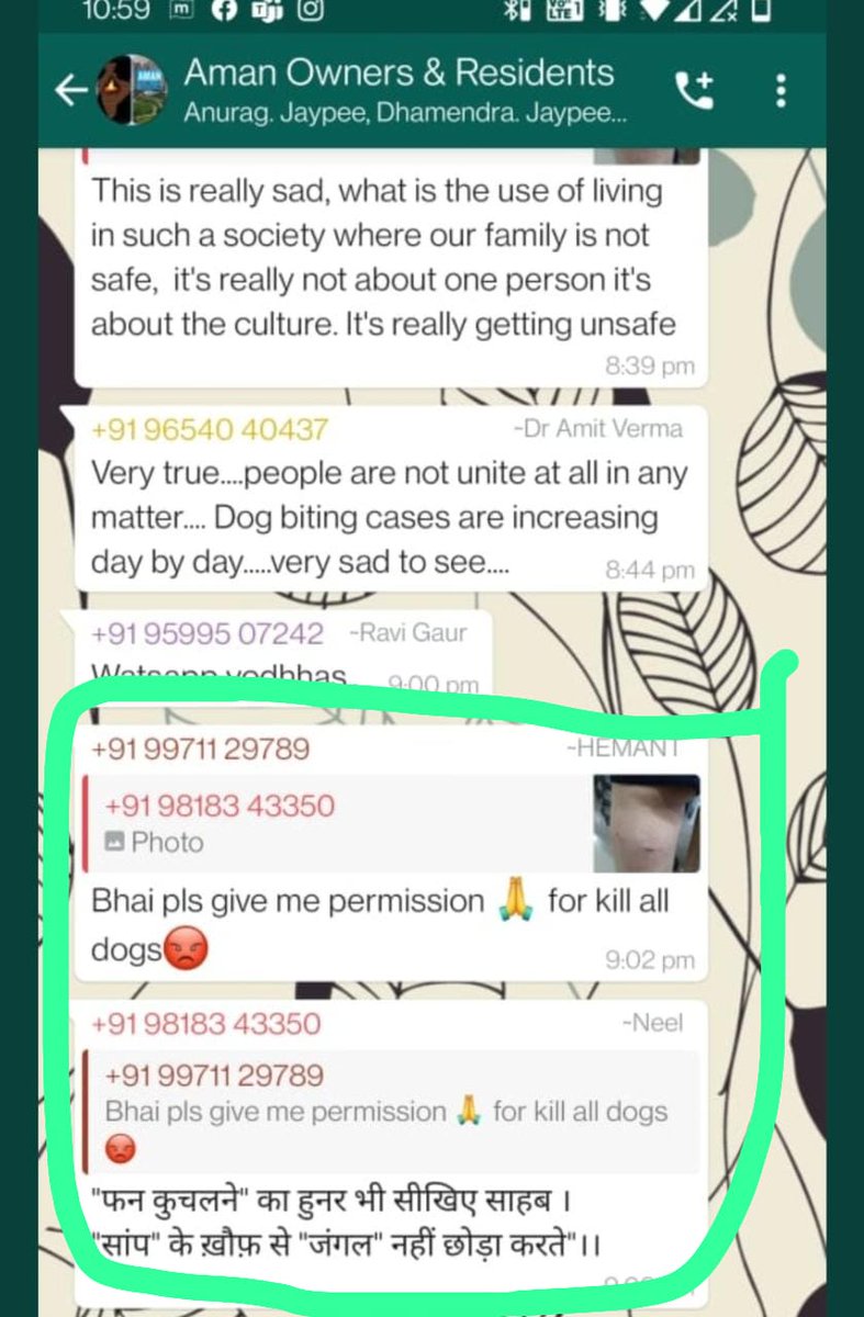 tarana2510's tweet photo. @amitchoudhar_y @noida_authority @InduPrakashPCS @rituias2003 @jpamanowners ये Fake एक तरफ़ा Biased Journalism @NewsNationTV @amitchoudhar_y की और ये अपराधी इरादे #JaypeeAman के गुंडों के #Noida #NCR #Delhi
सच्चाई 👉 says,"Bhai pls give permission for kill all dogs😡" CC @AwbiBallabhgarh @meevkt @ipskabra @dr_arpit_jain @sheelchandra @AmbikaShukla15 https://t.co/HHfUQIlC6z
