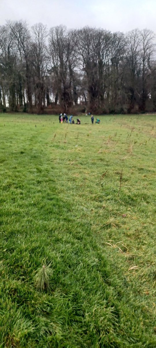 KarenDouglas_NI's tweet photo. Another sunny morning for planting trees in #CastlePark in #Bangor @ANDborough Parks Team are by the play park opposite Aurora ready to welcome you. Pleased to join more families this morning to #PlantATree for #AND #Stand4Trees π³π²π± https://t.co/i6aB35aPMR