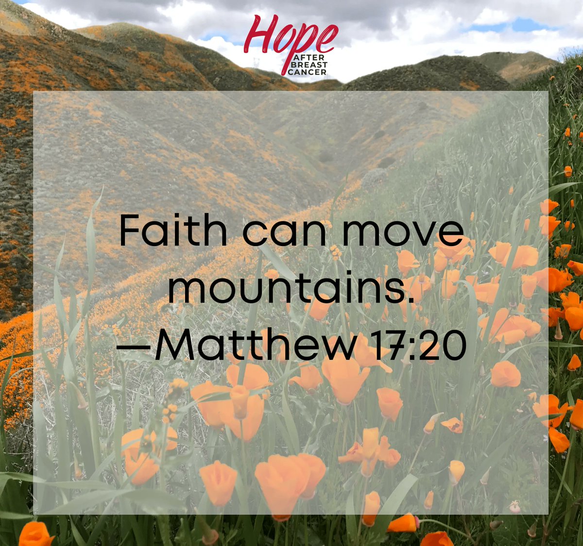 HopeAfterBC tweet picture