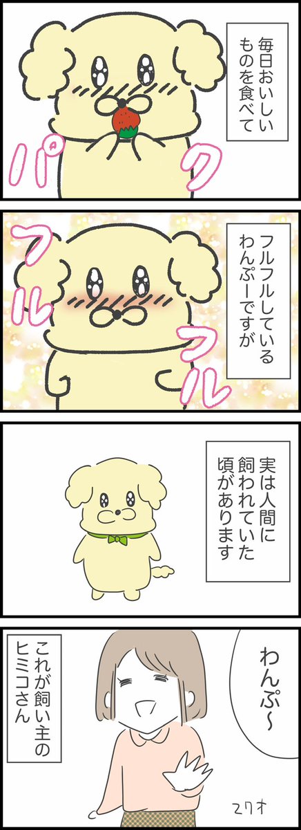 【おいしいものを食べるとふるえるワンコ】わんぷーの日常
今回はこれまでの総集編です!
明日から続きまたアップし始めます✨お待たせしました🙇‍♂️
1/8 