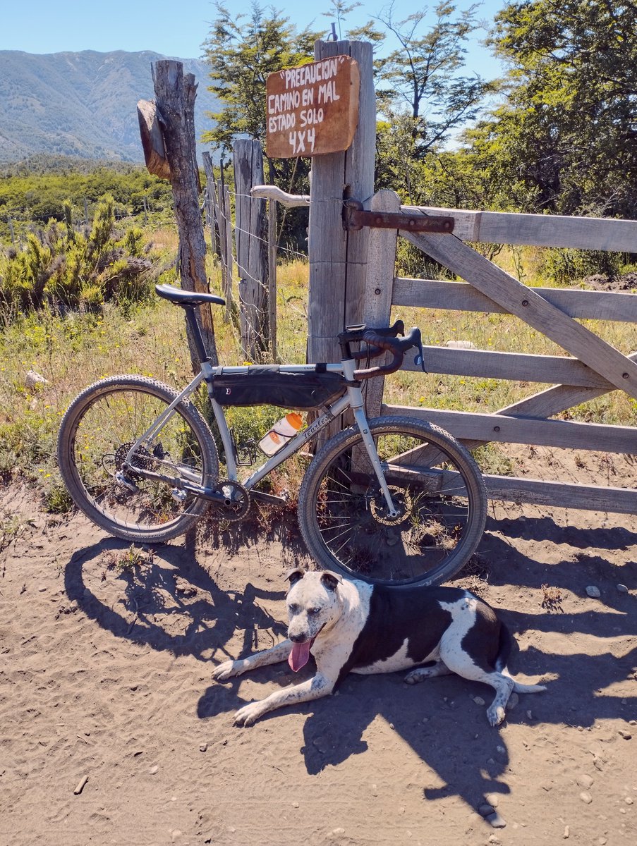 “Caution bad road. 4x4 only”  Those will be ideal riding conditions then. More from Arik + pooch in Patagonia, Argentina.
#steelisreal #steelbike #steelgravelbike #fearlesswarlock #sramroad #explorepatagonia