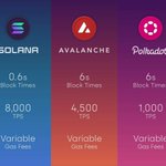 Photo by CryptoTribe (@CryptoTribeDAO)