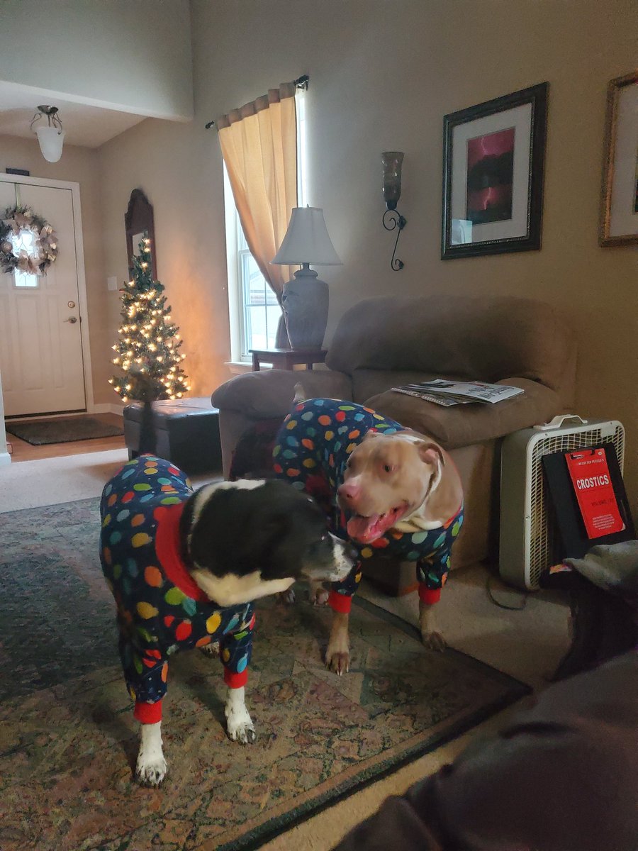 RamblinSteve417's tweet photo. @CiBabs Christmas PJs !! https://t.co/iy9QtpCTnx
