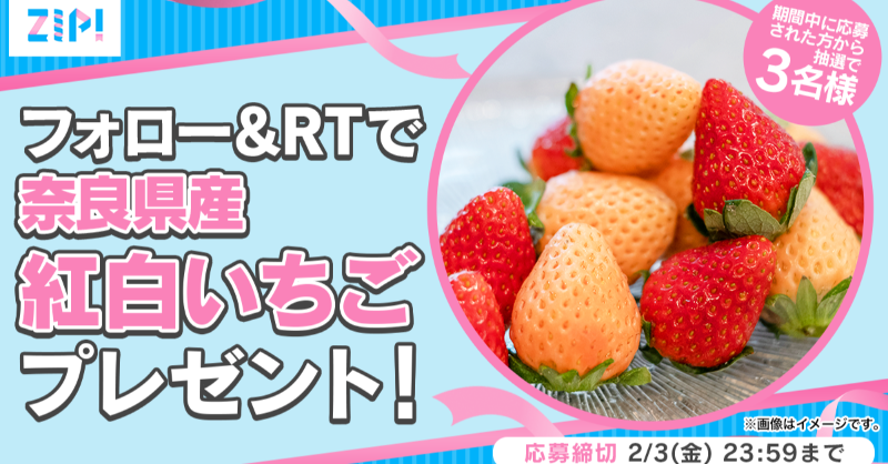 ZIP_TV's tweet photo. ＼　　　\\　　　//　　　／
　  フォロワー7⃣0⃣万人
　  突破キャンペーン🎊
／　　　//　　　\\　　　＼

◤奈良県産 紅白いちごが当たる🍓
　フォロー＆RTキャンペーン🎀
　　　　　　1⃣日目❣　　　　　◢

応募方法📪
①@ZIP_TVをフォロー
②この投稿をRT
毎日RTで当選率UP✨

💙
👐ZIP!