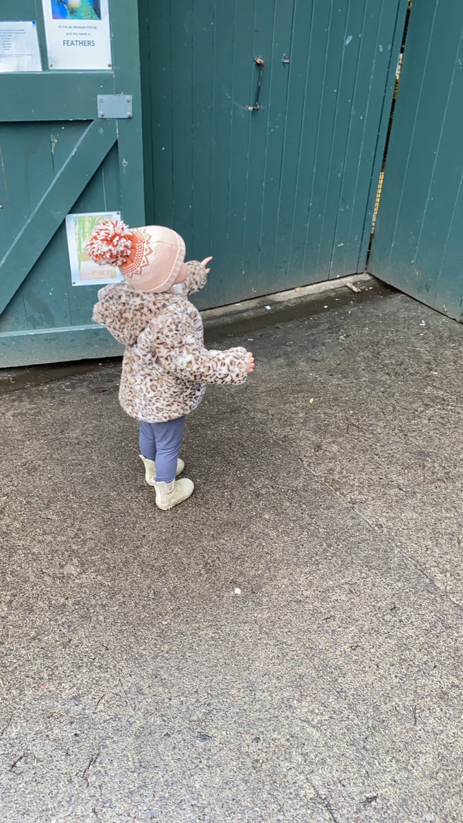 DaveySurrey's tweet photo. Lovely fresh morning for a walk around saltwell park with Isla. A play in the park and a snack at the cafe. #DaddyandDaughterTime โค๏ธ๐ https://t.co/Bflrg7DpSB