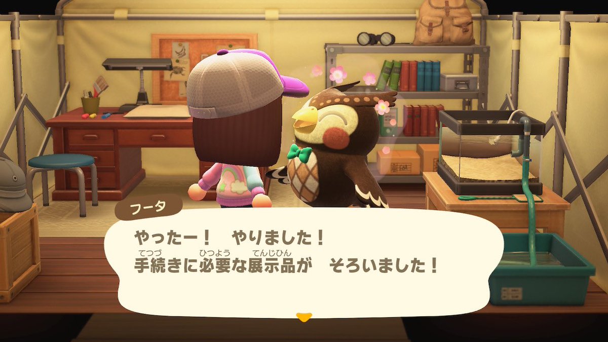 ゆうう様専用ページ どうぶつの森 森をつくろう 博物館 フータ レア