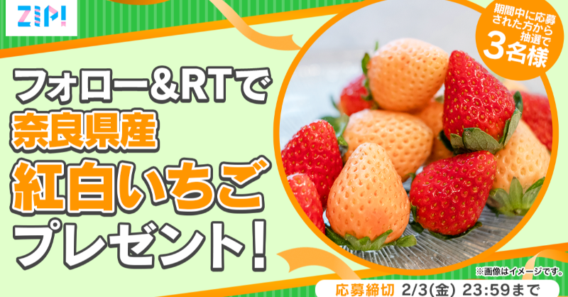 ZIP_TV's tweet photo. ＼　　　\\　　　//　　　／
　  フォロワー7⃣0⃣万人
　  突破キャンペーン🎊
／　　　//　　　\\　　　＼

   奈良県産 紅白いちごが当たる🍓
　フォロー＆RTキャンペーン🎀
*☼* ……………3⃣日目❣……………*☼*

応募方法📪
①@ZIP_TVをフォロー
②この投稿をRT
毎日RTで当選率UP✨

💙
👐ZIP!