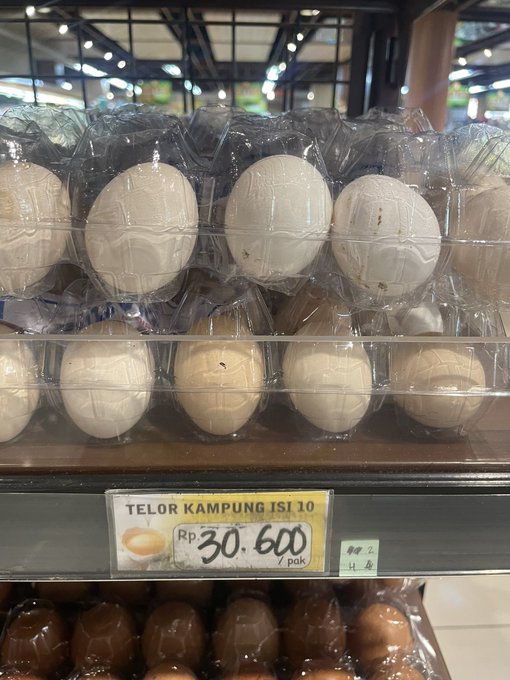 1 dozen eggs = 2$ U.S https://t.co/JXWQUcf68f<a href="/tag/femdom"class="tags"><span>#femdom</span></a><a href="/tag/find"class="tags"><span>#find</span></a><a href="/tag/worship"class="tags"><span>#worship</span></a><a href="/tag/financialdominatrix"class="tags"><span>#financialdominatrix</span></a><a href="/tag/financialdomination"class="tags"><span>#financialdomination</span></a>