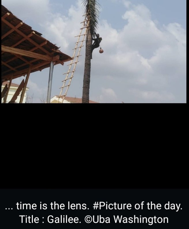 uba_washington's tweet photo. .. time is the lens
#FollowFoto
#Picture of the day
#Tittle : Galilee https://t.co/M1XU04bkej