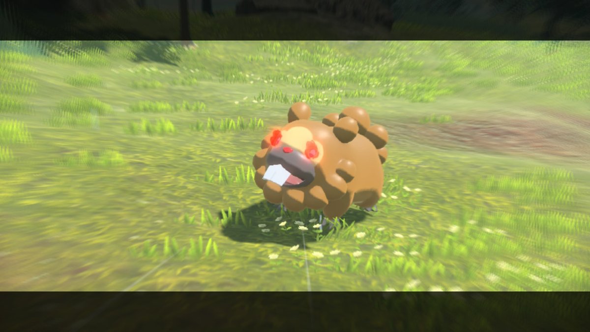 PokemonSpears's tweet image. #alpha #Pokemon #Shellos #Bidoof #Cleffa #Spheal #PokemonLegendsArceus #NintendoSwitch