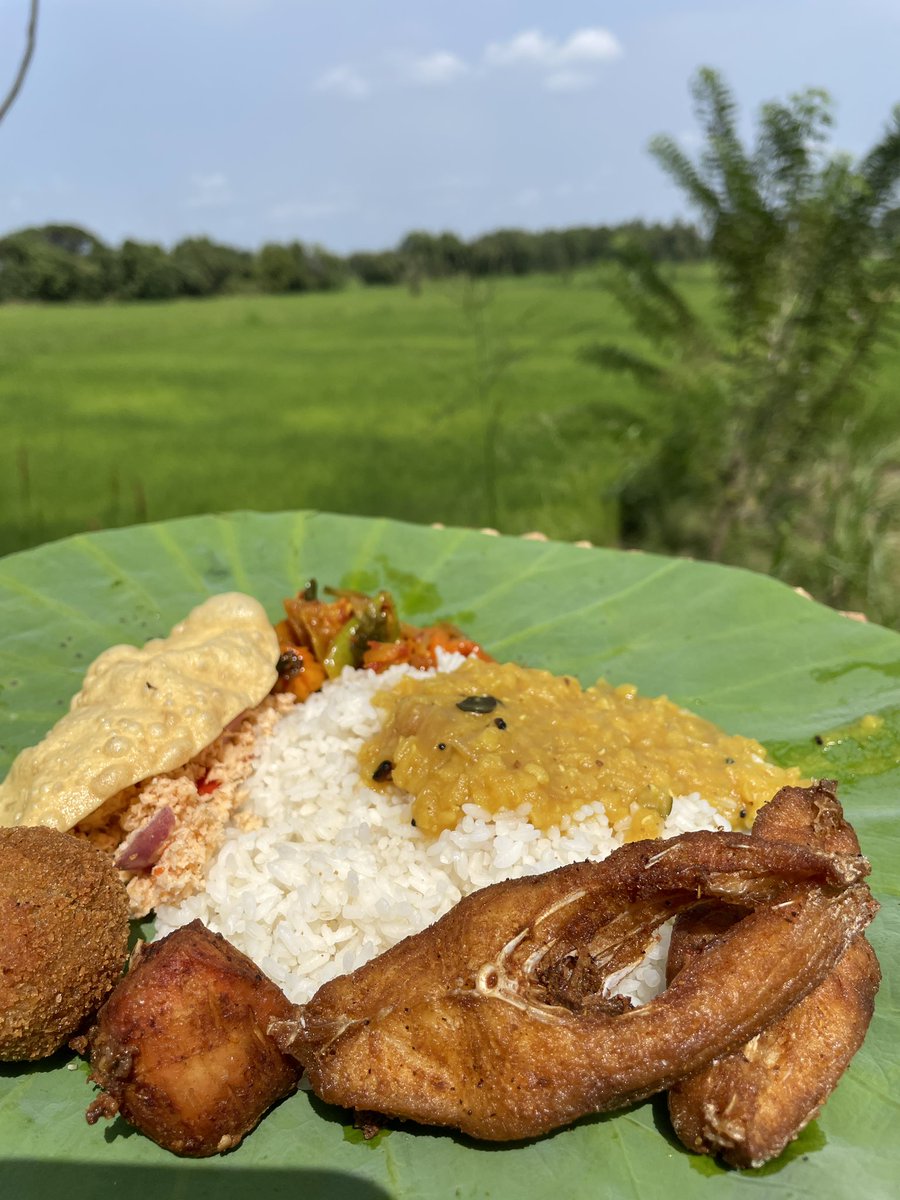 Rice & Curry Heaven! If you are ever in Polonnaruwa don’t forget to check out Priyamali Gedara #SriLanka