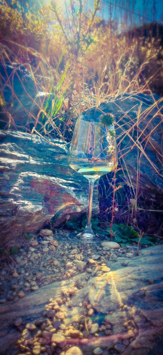 noblefinewine's tweet photo. Vasse Felix Filius Chardonnay
66/100 Noble Rating (Light-touch).
🤔. Read our full review here: https://t.co/YjxSbeH0nN
#buynoblewine #animalwelfare #vassefelixwine #margaretriverwine #noblefinewinecellar #theaerie #noblecriteria #nobleprinciples #noblerating #organic https://t.co/Lo1JTtSUKT