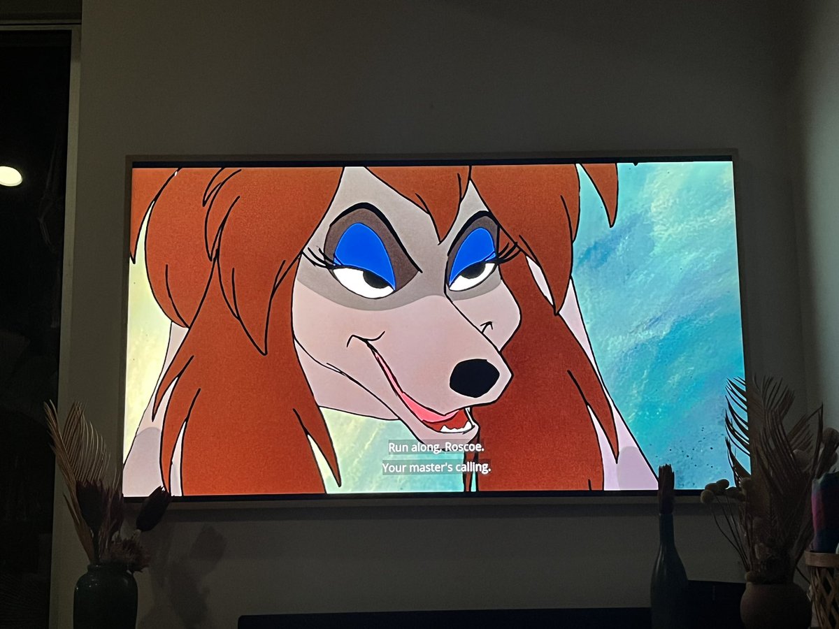 Rachel Connors tweet media